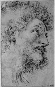 Hlava svatého Krispina od Guido Reni