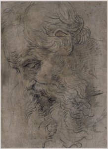 Hlava svatého Pavla Poustevníka od Guido Reni