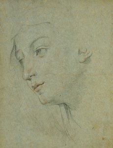 Hlava ženy při pohledu dolů doleva, od Guido Reni
