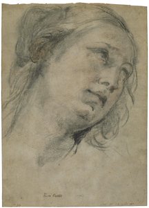 Hlava mladé ženy hledící vzhůru od Guido Reni