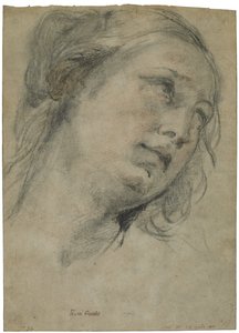 Hlava mladé ženy dívá se vzhůru, kolem roku 1609 (černá a červená křída s doteky bílé křídy na hnědém položeném papíře) od Guido Reni