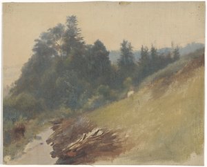 Horský svah s borovicemi od Guillaume Anne van der Brugghen