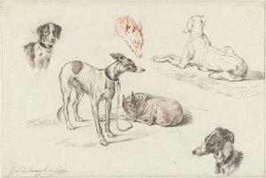 Studie psů od Guillaume Anne van der Brugghen