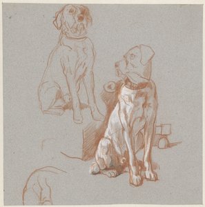 Dvě studie sedícího psa od Guillaume Anne van der Brugghen