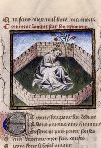 Znázornění mladého zamilovaného chlapce v zahradě rozkoší při objevování Narcisovy fontány, miniatura v „Roman de la Rose“ od Guillauma Lorrise