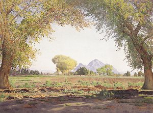 The Salt River Valley (s kvašem na papíře)