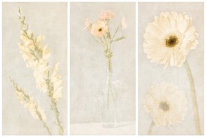 Vybledlý květinový triptych od Gustav Davidsson