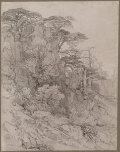 Stromy skalnaté stráně od Gustave Achille Guillaumet