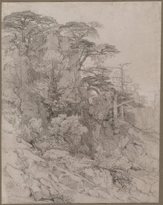 Trees of a Rocky Hillside, pozdní 1800. od Gustave Achille Guillaumet