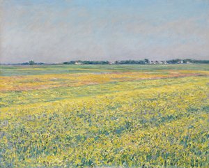 Planina Gennevilliers, žlutá pole od Gustave Caillebotte