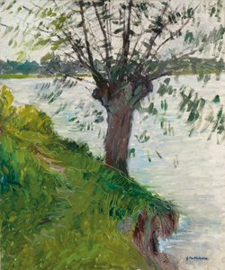 Vrba u řeky; Saule au bord de la riviere, c. 1891 od Gustave Caillebotte