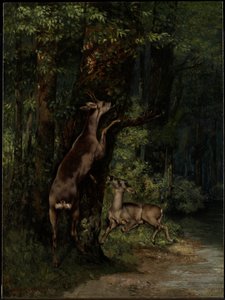 Jelen v lese od Gustave Courbet