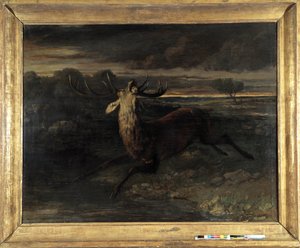 Jelen má vodu (lovící běh) říká síla jelena (olej na plátně) od Gustave Courbet