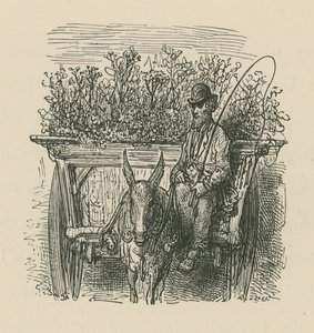 Muž řídil vozík naložený rostlinami a květinami od Gustave Dore