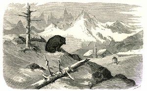 Rytina Gustava Doreho ilustrující knihu "Voyage aux Pyrenees d