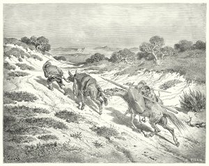 Don Quijote Gustava Dorea: „Vedl prdel za ohlávku a vydal se nejbližší cestou, kterou dokázal odhadnout, k hlavní silnici“ (rytina) od Gustave Dore