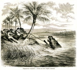 Lov na řece Teoghe, přítoku Ngami. Hroší harpuna. Rytina Gustava Doreho ilustrující "les aventures et chasse du voyageur Charles-Jean Anderson dans l