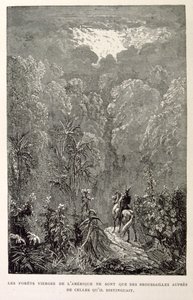 Ilustrace amerického lesa z knihy La legende de Croque-Mitaine. od Gustave Dore