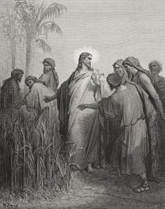 Ježíš a jeho učedníci na kukuřičném poli, ilustrace z Doreovy „Svaté bible“, vyryté Pannemakerem, 1866 od Gustave Dore