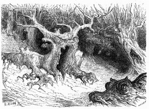 Monstrózní buky v údolí Ossau, antropomorfní monstrózní stromy. Rytina Gustava Doreho ilustrující knihu "Voyage aux Pyrenees d
