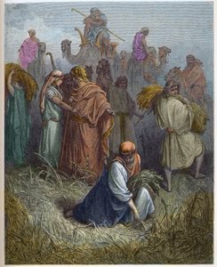 Ruth a Boaz (Booz) - Ruth pracující na polích Boaz (Boaz) (Ruth a Boaz) - - rytina v „The Bible illustree“ od Gustava Dore (1832-1883) - Rytina z „“The Dore Bible““ od Gustave Dore
