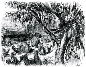 Sindibád námořník (Sindbad) - příběh tisíce a jedné (1001) noci - ilustrace Gustave Dore - vydání Maxwell 1865 - Sedmá plavba: Sindibád, sedící na stromě, táhne lukem za slony. od Gustave Dore