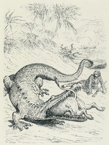 "Dobrodružství barona Prášila" (Munchhausen): Neohrožený baron Prášil pronásledovaný lvem zkříží cestu obrovskému krokodýlovi, který lva sežere. Ilustrace Gustava Dorého Konec 19. století. od Gustave Dore