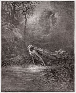 Božská komedie (La Divina Commedia, La Divine Comedie), Purgatorio, Canto 31: Dante ponořený v řece Lethe - Dante Alighieri (1265-1321) - Ilustrace Gustave Dore (1832-1883) od Gustave Dore