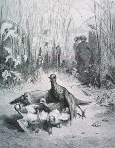 Bajka skřivana, jejích mláďat a mistra pole, ilustrace k Bajkám La Fontaine rnrn od Gustave Dore