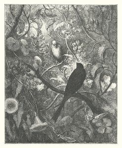 La Fontainovy bajky: (rytina) od Gustave Dore