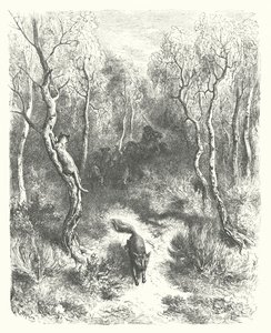 La Fontainovy bajky: Kočka a liška (rytina) od Gustave Dore