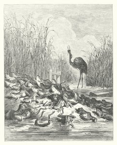 La Fontainovy bajky: Žáby, které si žádaly krále (rytina) od Gustave Dore