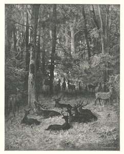 La Fontainovy bajky: (rytina) od Gustave Dore