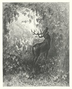 La Fontainovy bajky: (rytina): Pohádka o jelenovi a vinné révě od Gustave Dore