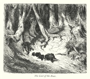 Poslední kanec (rytina) od Gustave Dore