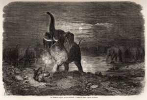 Závěsný od Gustave Dore