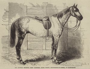 Sir George Browns Gray Charger, Alma od Gustave Janet