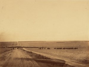 [Cavalry Maneuvers, Camp de Chalons] od Gustave Le Gray