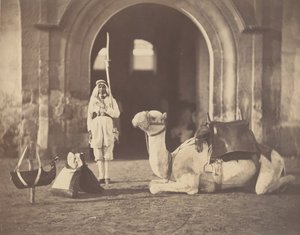 [Voják a vojenský velbloud], 1866. od Gustave Le Gray