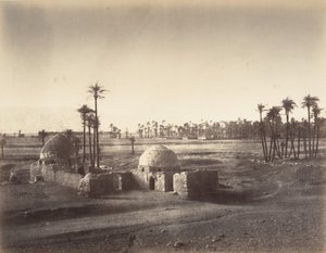 Pohled na Thébskou pláň z chrámu v Karnacu, 1867. od Gustave Le Gray