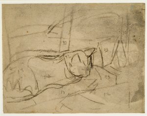 Studie koček (uhel na papíře) od Gwen John