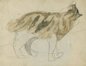 Studie koček (tužka s akvarelem na papíře) od Gwen John