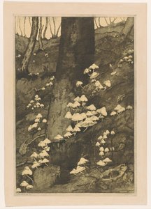 Houby v lese Podzim (původní název) od H.C. Spruit (signed by artist)