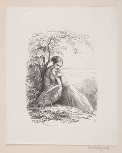 Ilustrace pro "The Wild Swans" v H.C. Andersen, "Pohádky a příběhy", svazek 1 od H.P. Hansen