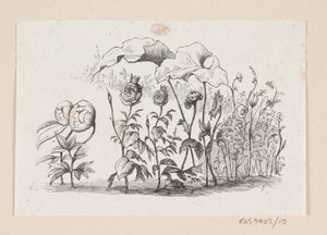 Ilustrace pro "Den lille Idas Blomster" v H.C. Andersen, "Pohádky a příběhy", svazek 1 od H.P. Hansen