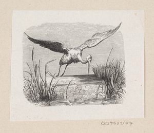 Ilustrace pro "The Storks" v H.C. Andersen, "Pohádky a příběhy", svazek 1 od H.P. Hansen