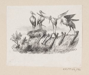 Ilustrace pro "The Storks" v H.C. Andersen, "Pohádky a příběhy", svazek 1 od H.P. Hansen