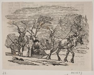 Jízda na saních se soby od H. C. Henneberg