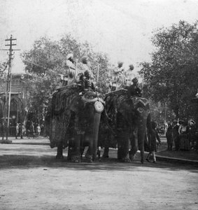 Pandžábská princezna jedoucí na slonovi v průvodu, Dillí, Indie, 1900.