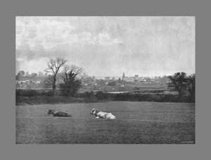 Southwell, c1900 od H. J. Bliss